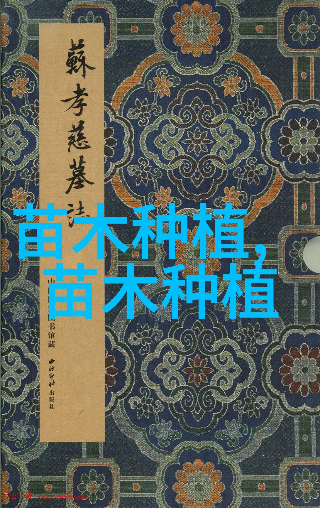 疣鼻栖鸭仔鸭的管理技术